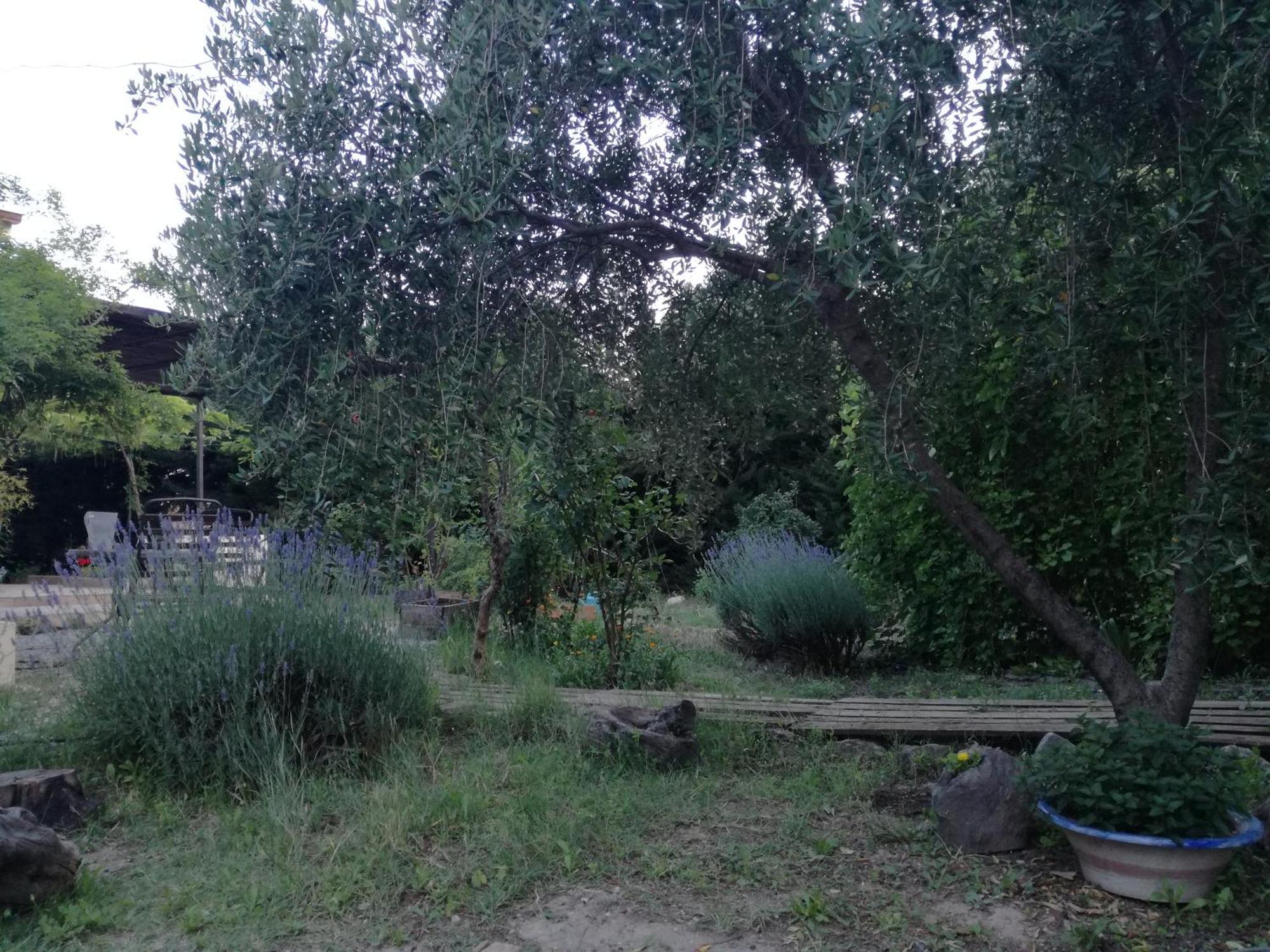 Casa Con Jardin Y Aparcamiento En Viznar, Junto A Granada Villa Exterior foto